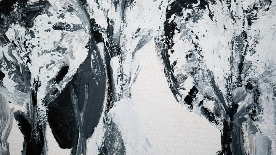 Black & White - Asheq Art